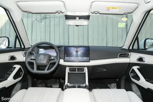 BYD Yuan Up 2025 · AMT