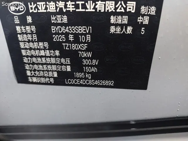 BYD Yuan Up 2025 · AMT