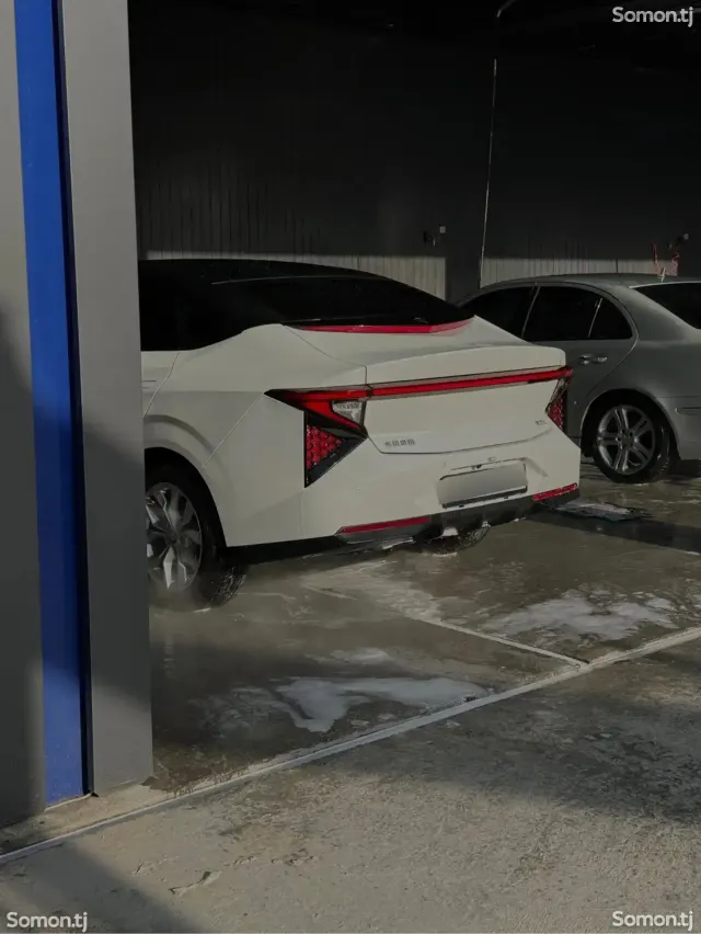 Dongfeng EP 008 2025 · AT