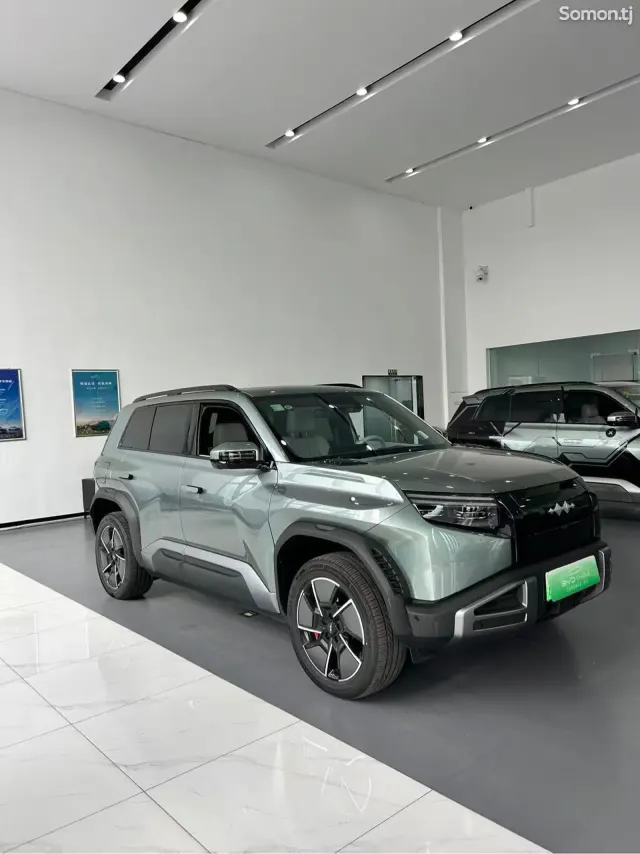 Leopaard Mattu 2025 · AT