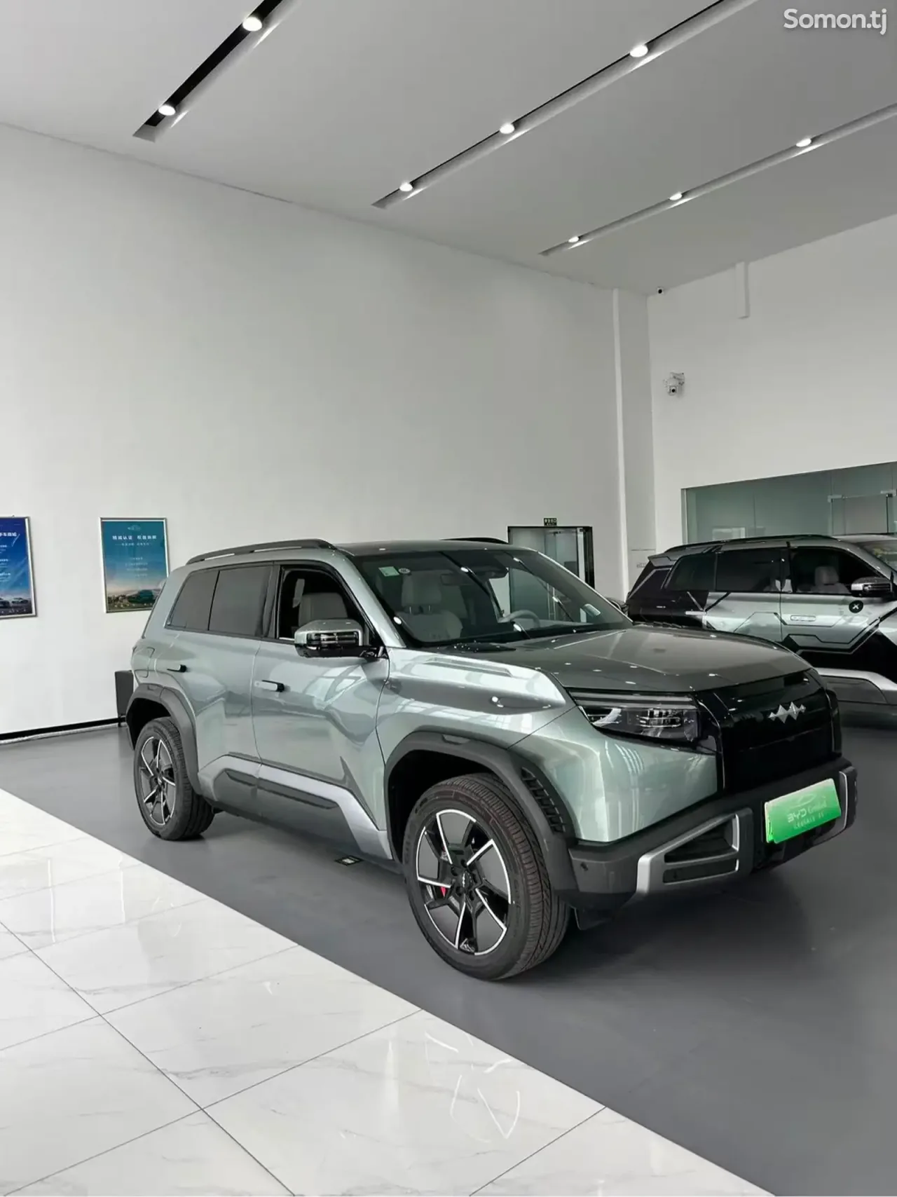 Leopaard Mattu 2025 · AT