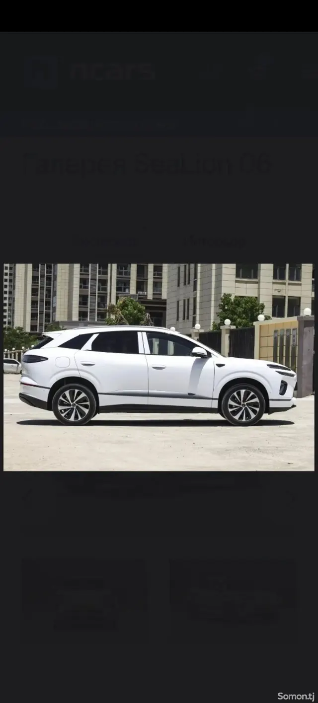 BYD Sea Lion 06 2025 · 2.0 AMT