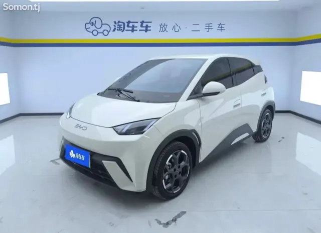 BYD Seagull 2024 · AT