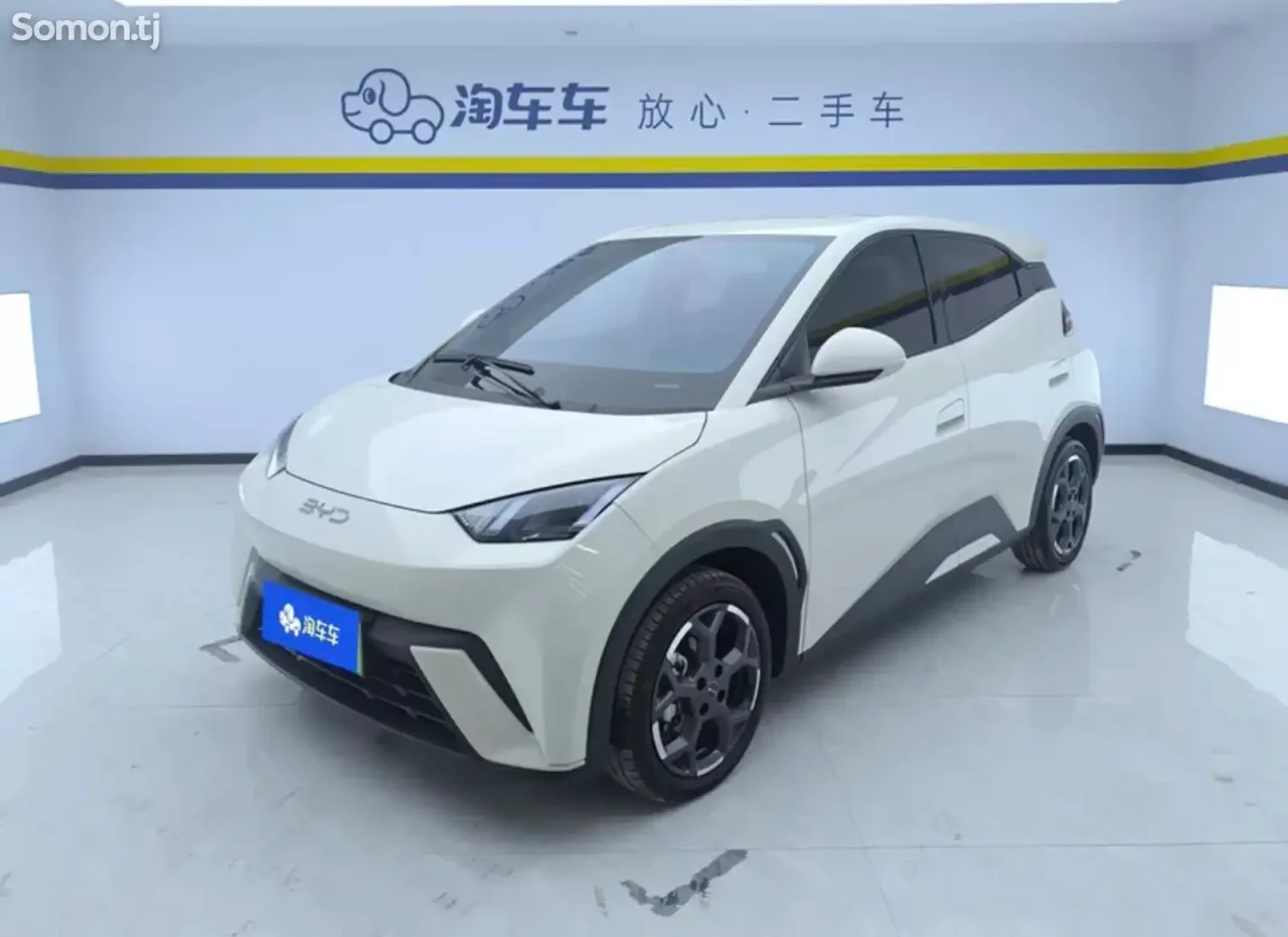 BYD Seagull 2024 · AT
