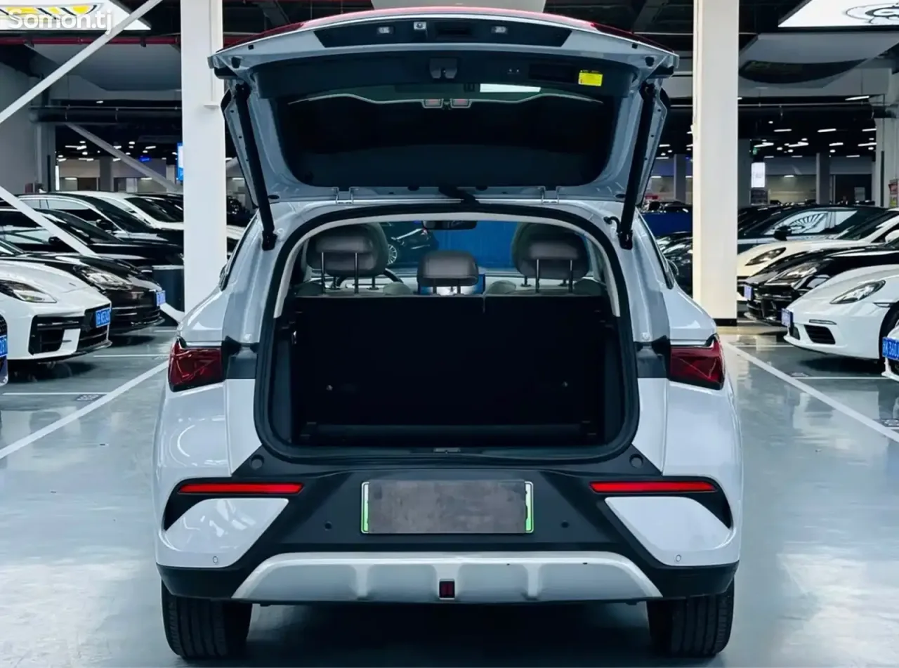 BYD Yuan Plus 2025 · AT