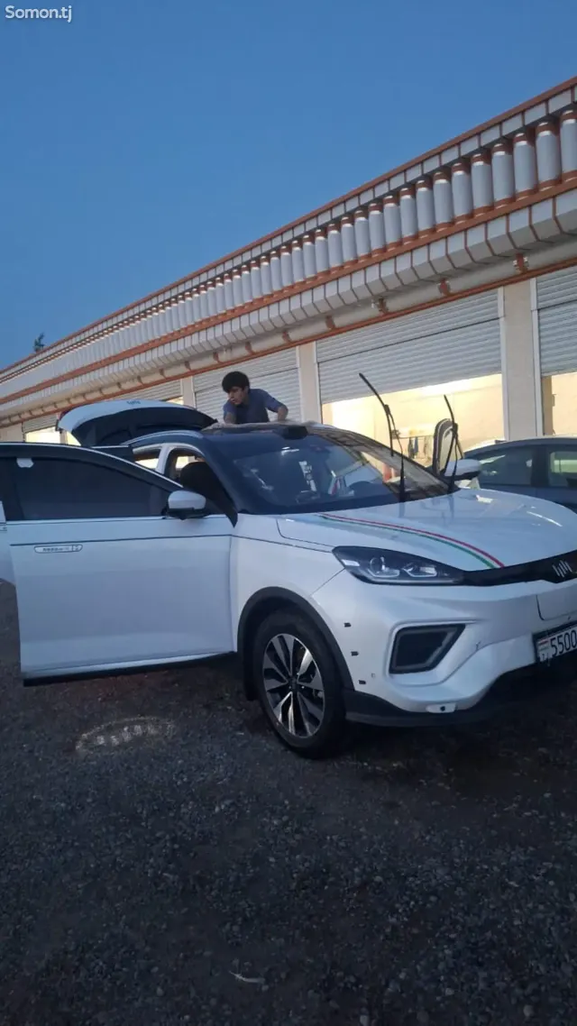 Weltmeister EX5-Z 2019 · AMT