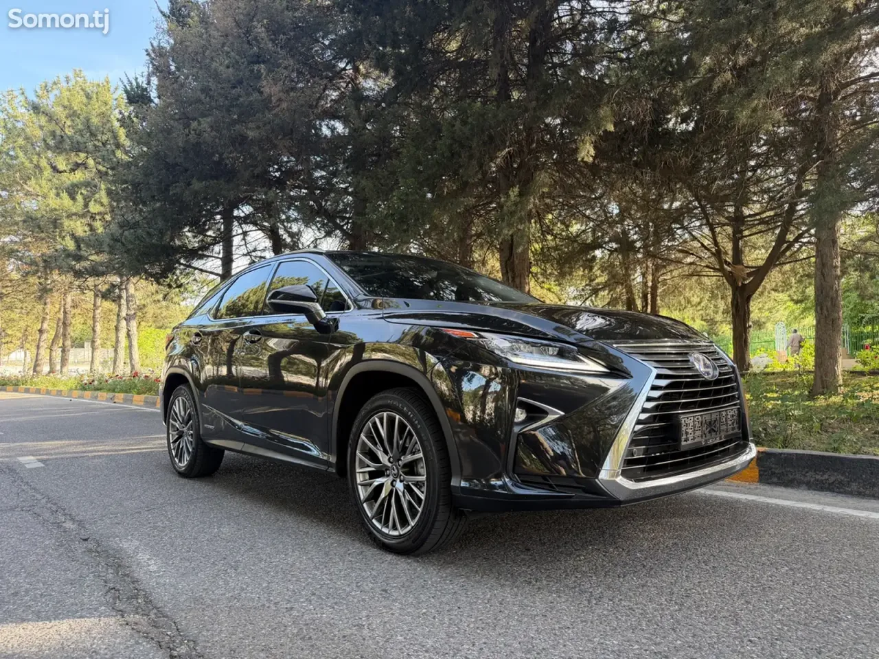 Lexus RX series 2017 · 3.5 AT