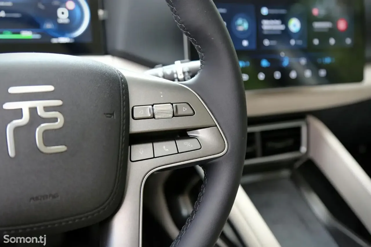 BYD Yuan Up 2025 · AMT