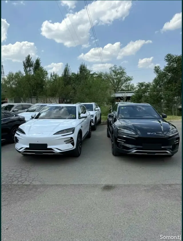 BYD Song Plus 2025 · AMT