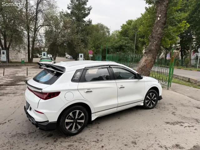 BYD E2 2024 · AT