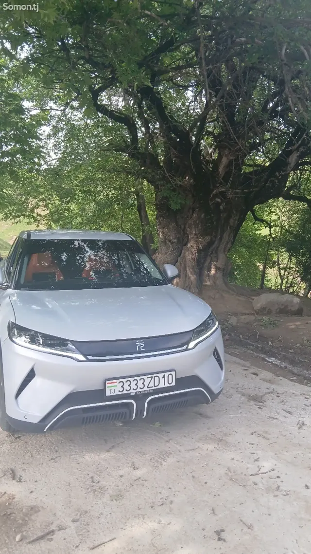 BYD Yuan Up 2025 · AT