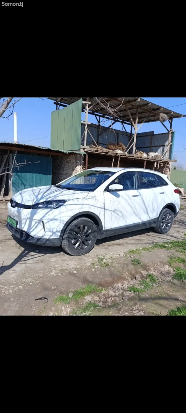 Weltmeister EX5 2019 · AT