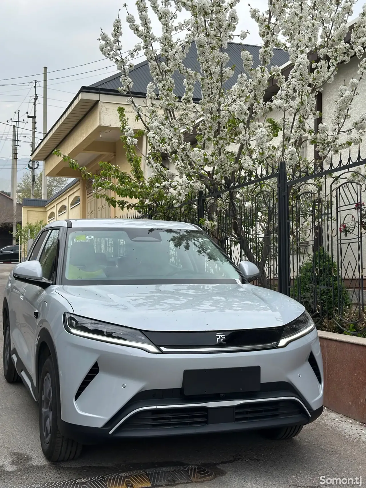 BYD Yuan Up 2025 · AMT