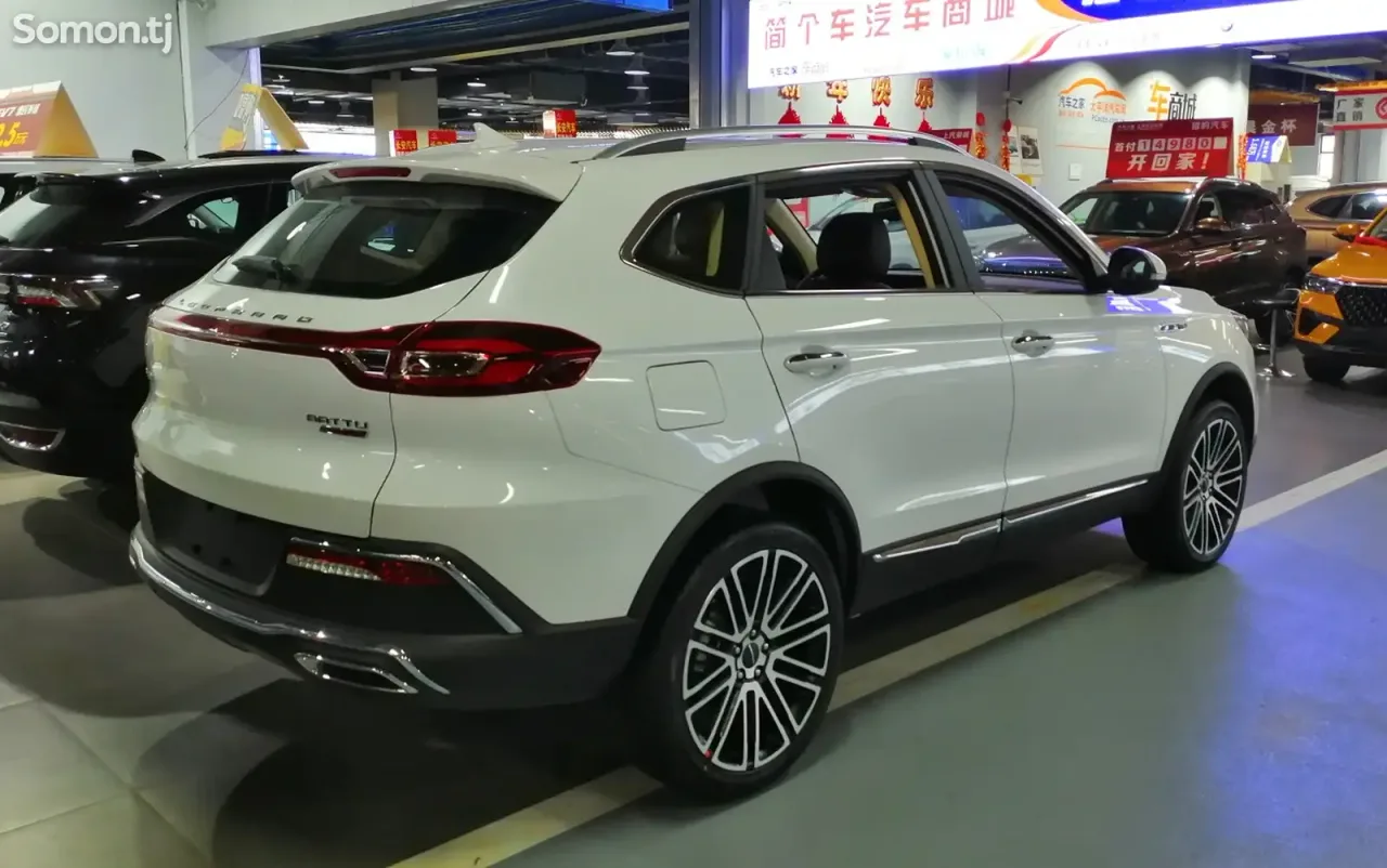 Leopaard Mattu 2019 · 2.0 AT