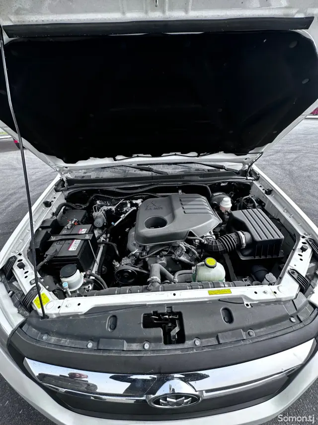Foton Tunland S 2024 · 2.0 MT