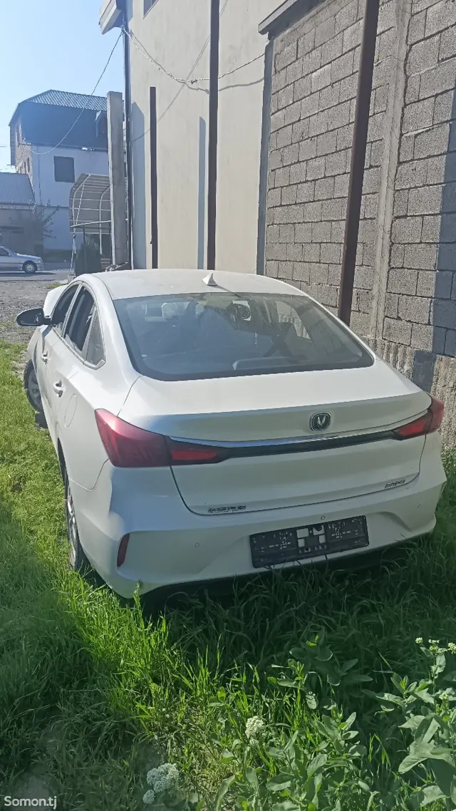 Changan Eado 2024 · AT