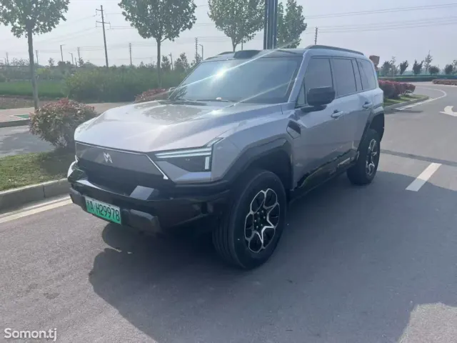 Dongfeng EP 008 2026 · 2.0 AT