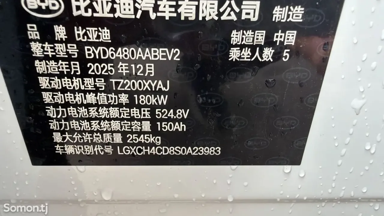BYD Sea Lion 06 2025 · AMT