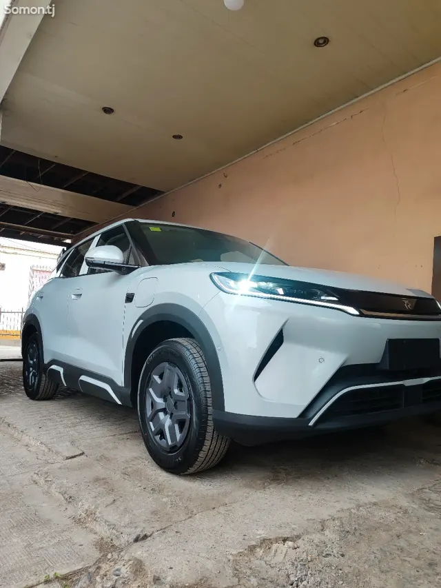 BYD Yuan Up 2025 · AT