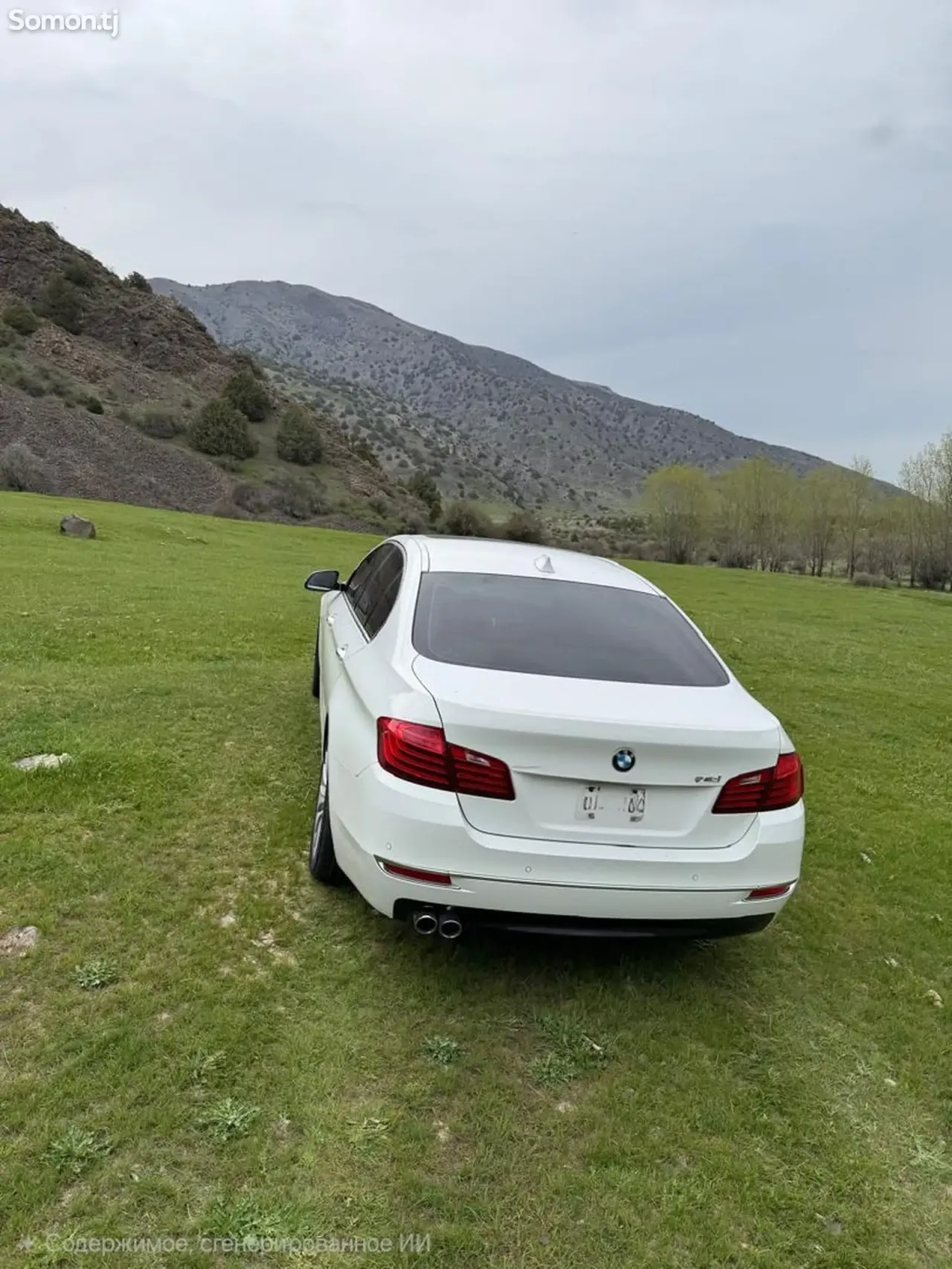 BMW 5 series 2015 · 2.0 AT