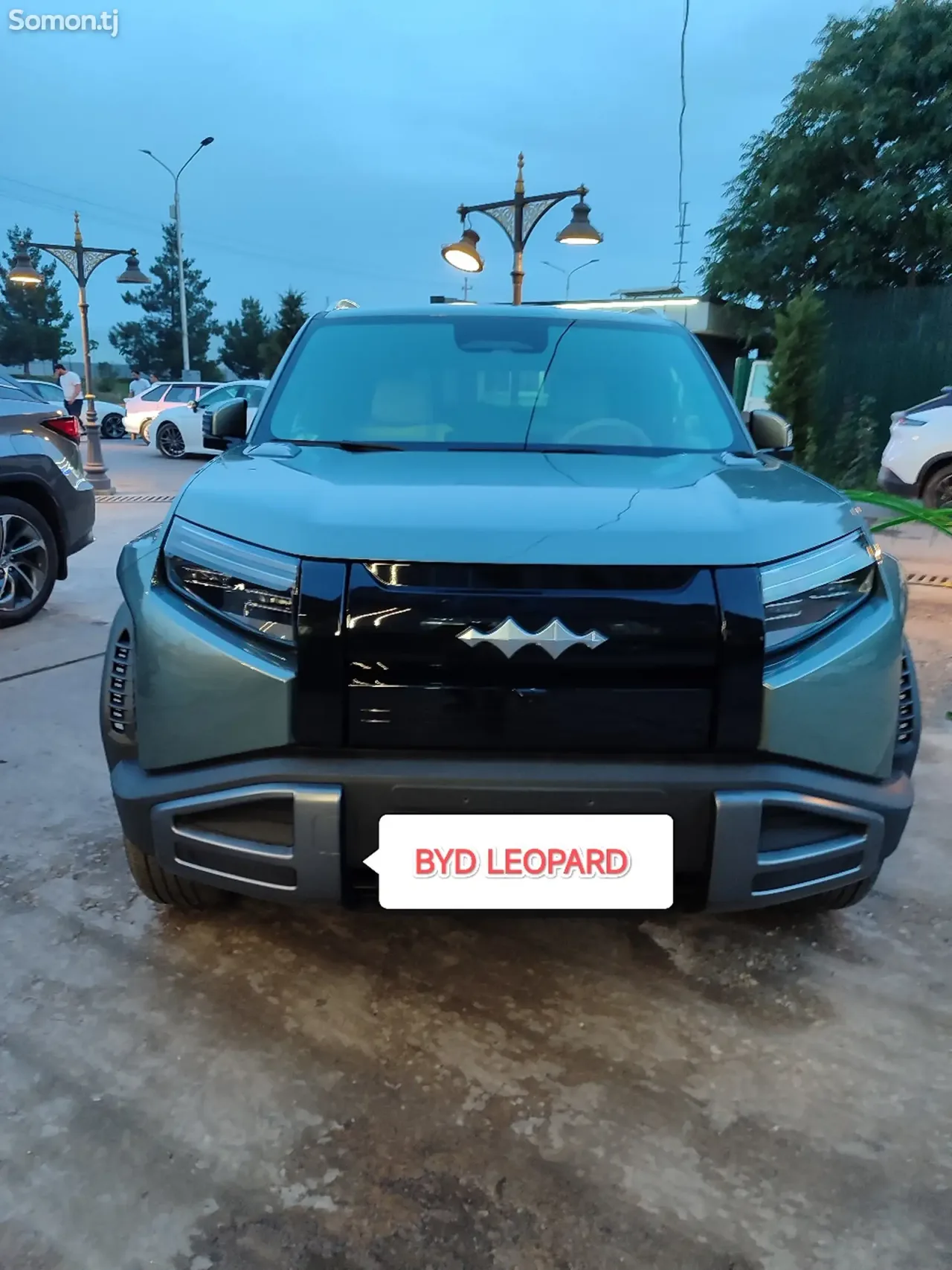 BYD Leopard 3 2025 · AT