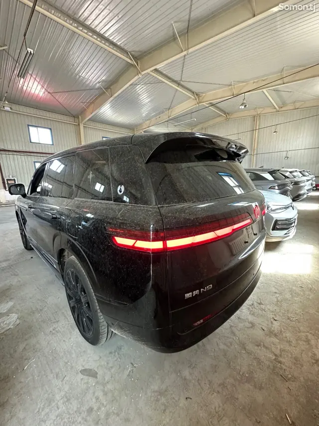 BYD Denza N9 2025 · 2.0 AT
