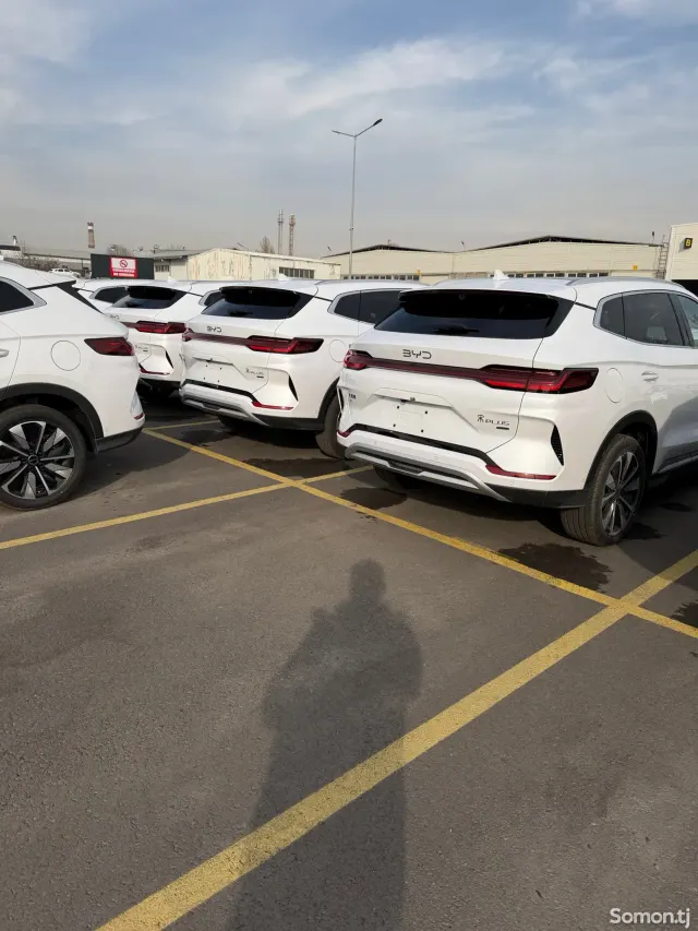 BYD Song Plus 2025 · AMT