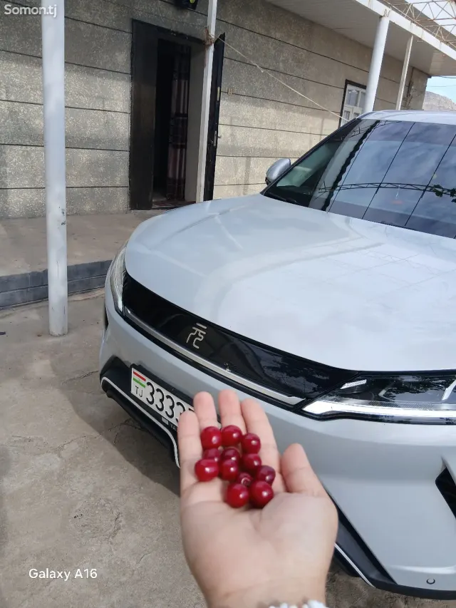 BYD Yuan Up 2025 · AT