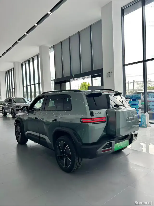 Leopaard Mattu 2025 · AT