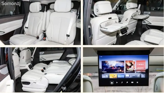 BYD Denza N9 2025 · 2.0 AT