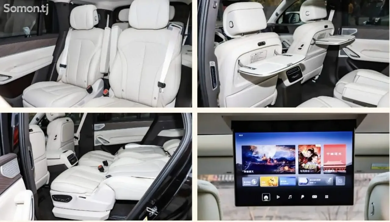 BYD Denza N9 2025 · 2.0 AT