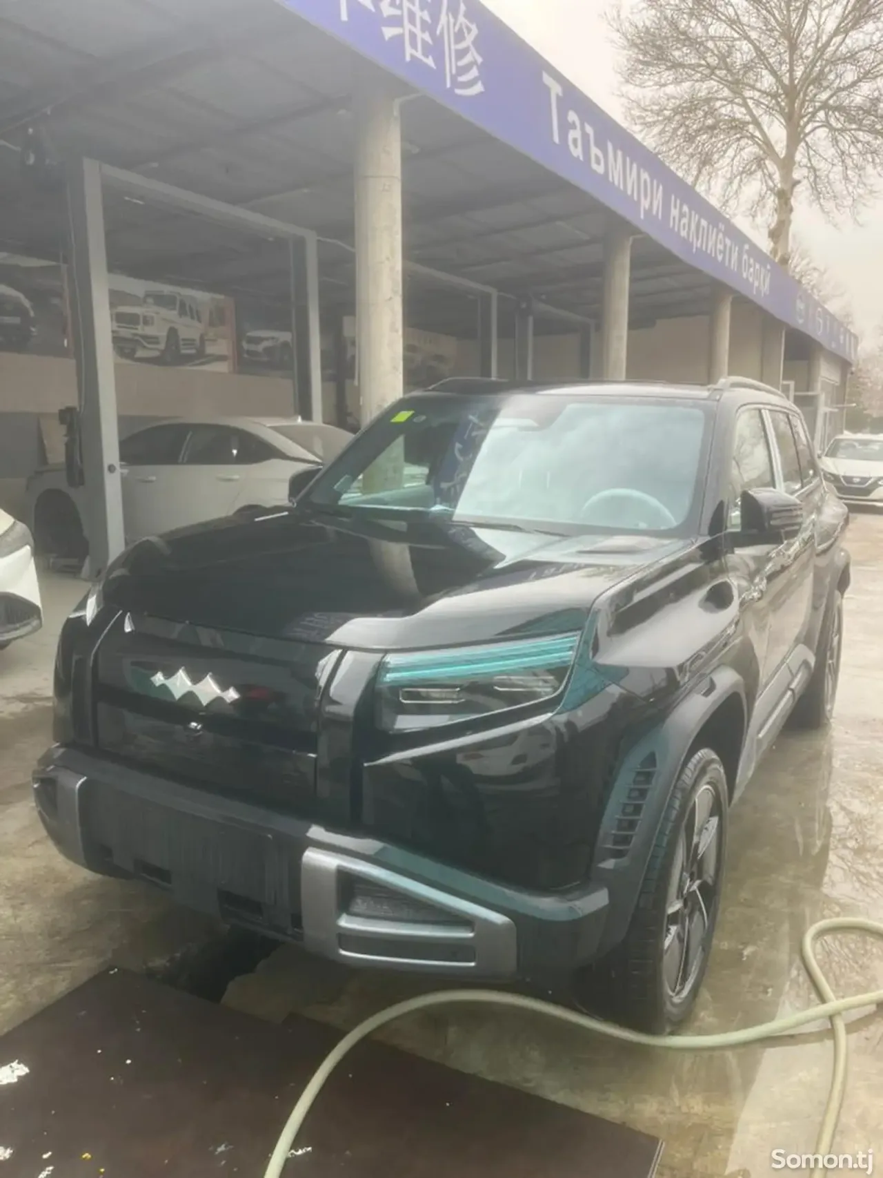 BYD Leopard 3 2025 · AT