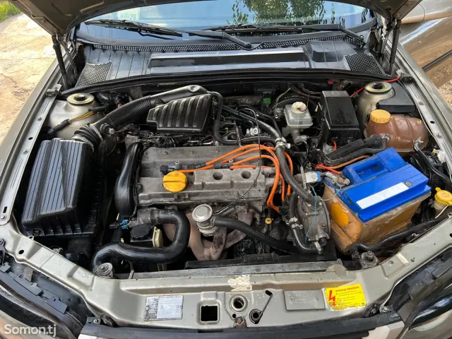 Opel Vectra B 1996 · 1.6 MT