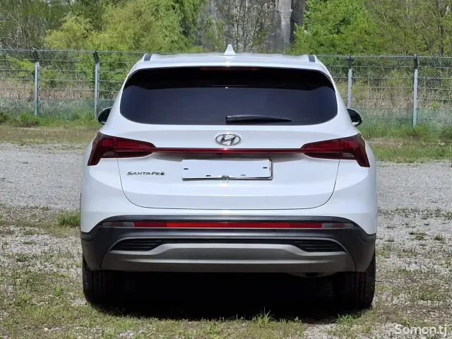Hyundai Santa Fe 2020 · 2.2 AT