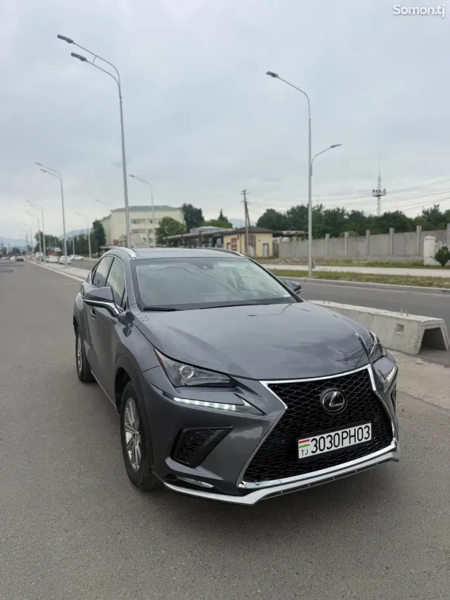 Lexus NX series 2021 · 2.0 AT