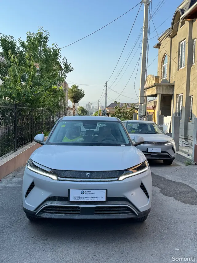 BYD Yuan Up 2025 · AMT