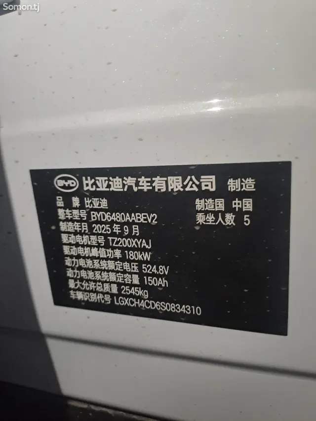 BYD Sea Lion 06 2025 · AMT