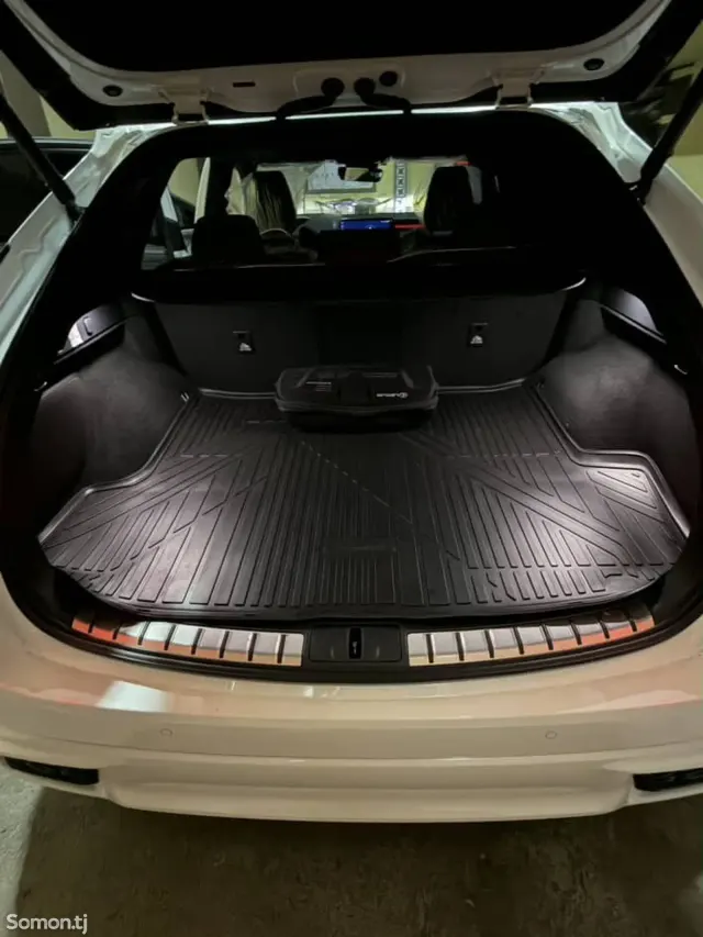 Lexus RX series 2024 · 5.0 AT