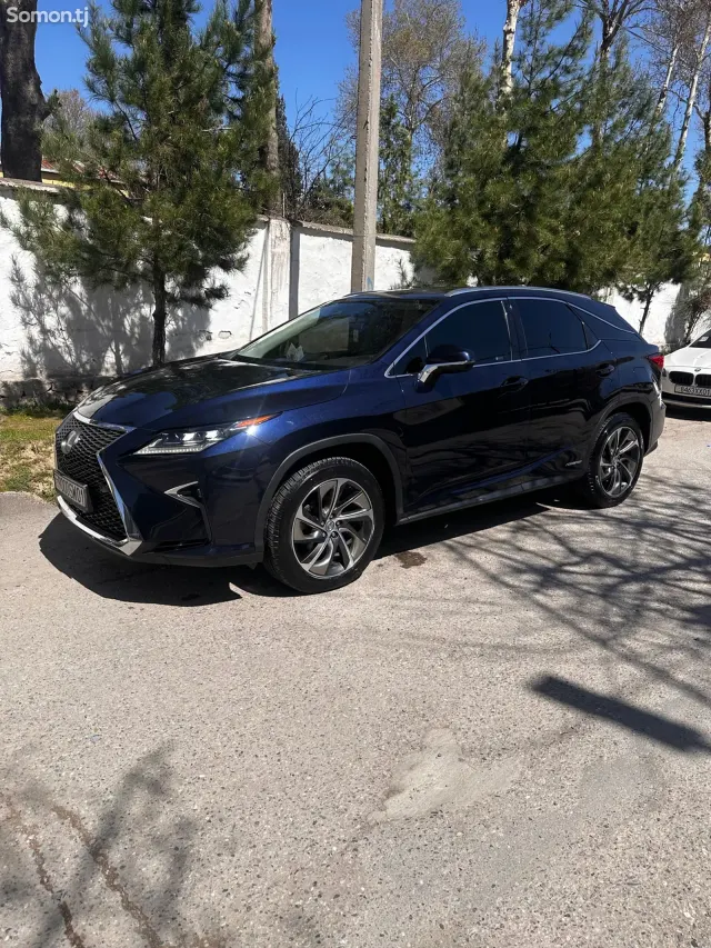 Lexus RX series 2019 · 4.5 AT