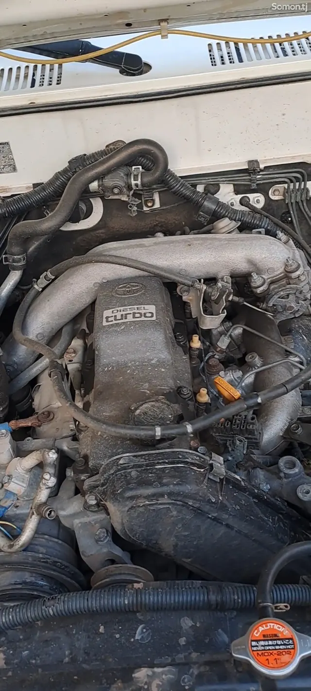 Toyota Land Cruiser Prado 2002 · 3.0 MT
