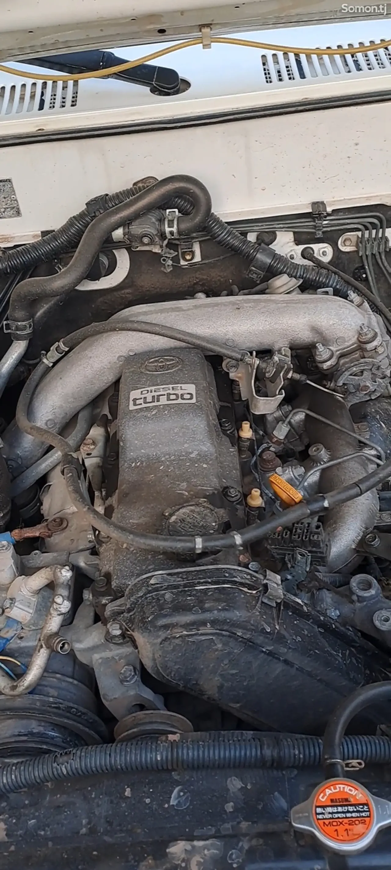 Toyota Land Cruiser Prado 2002 · 3.0 MT