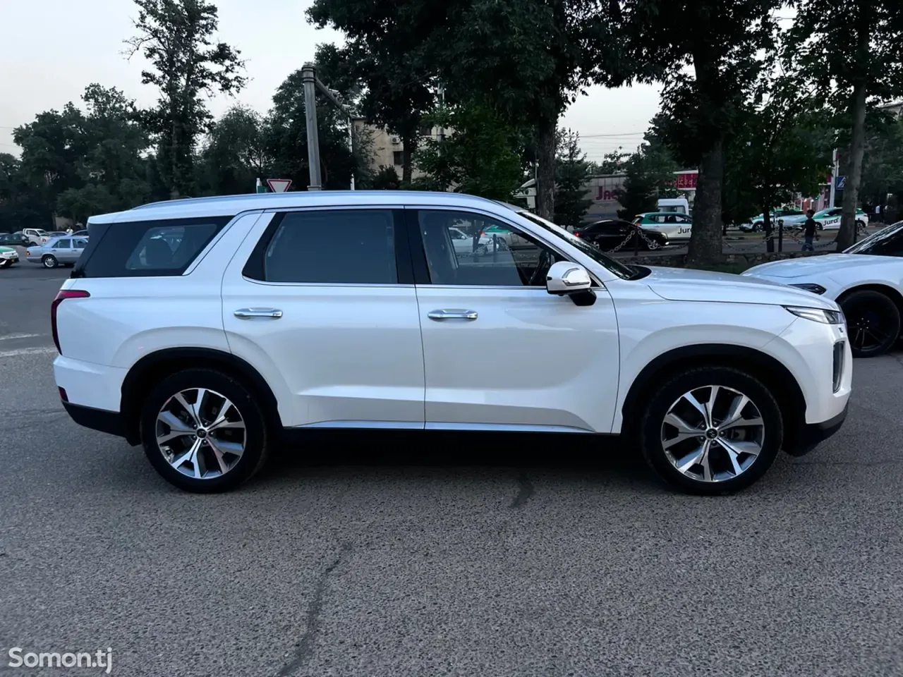 Hyundai Palisade 2019 · 3.8 AT