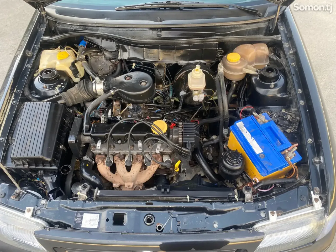Opel Astra F 1995 · 1.6 MT