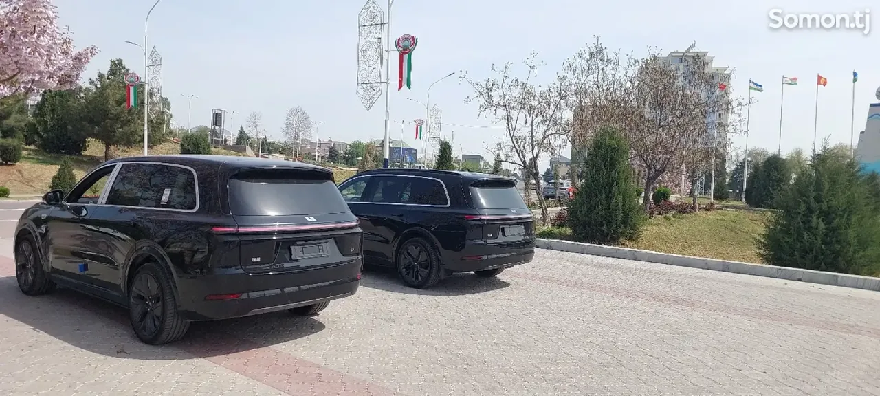 Li Auto (Lixiang) L9 2025 · 4.0 AMT