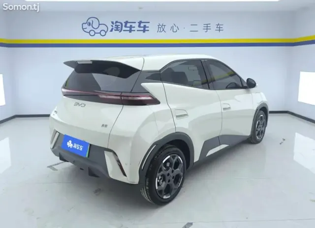 BYD Seagull 2024 · AT
