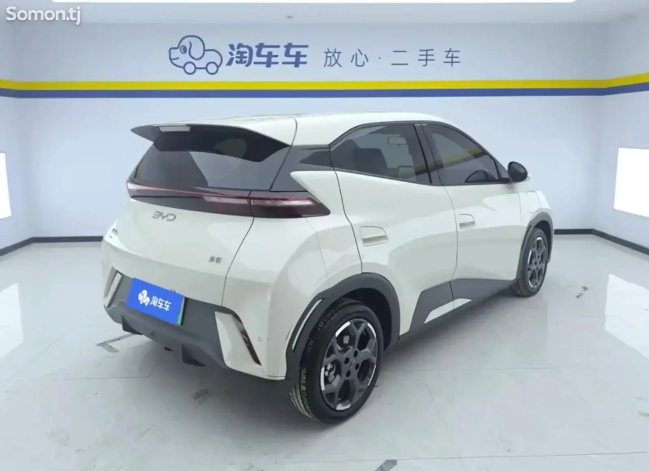 BYD Seagull 2024 · AT