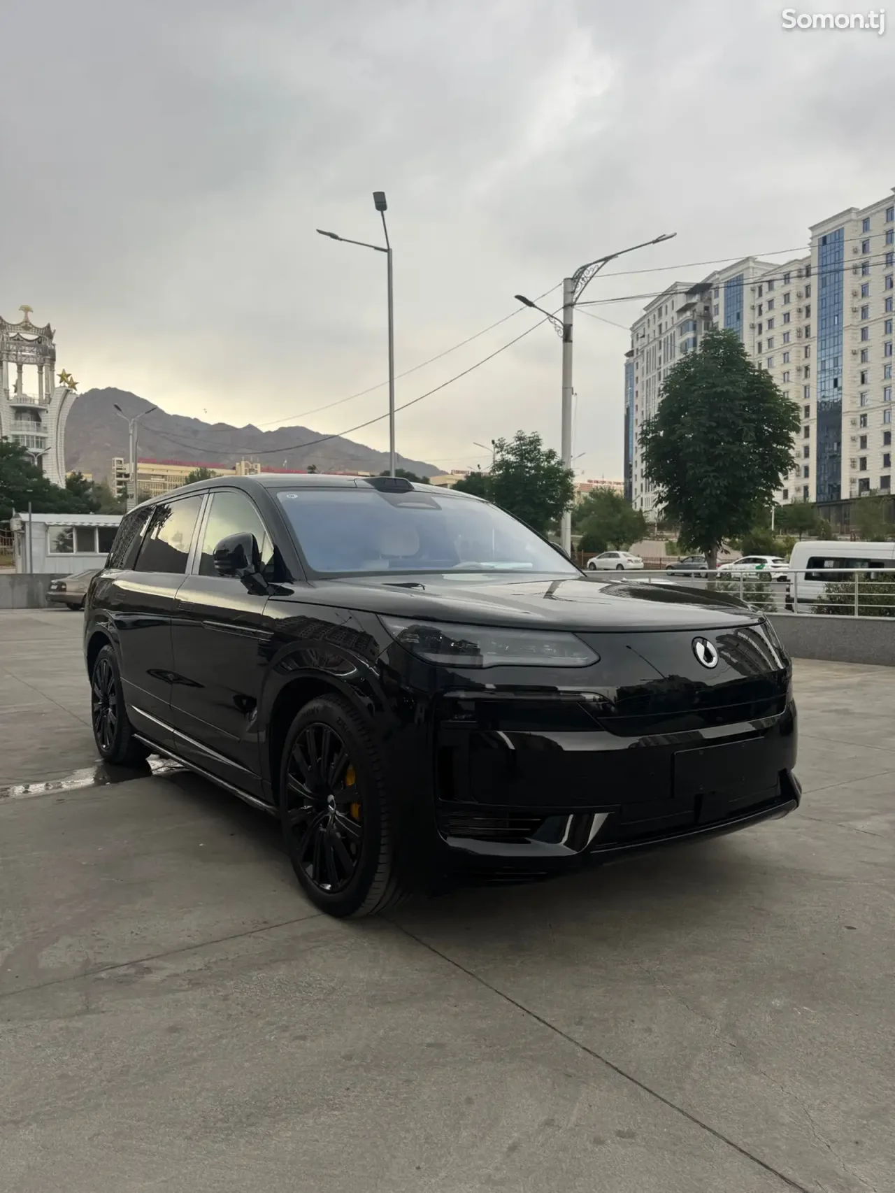 BYD Denza N9 2025 · AT