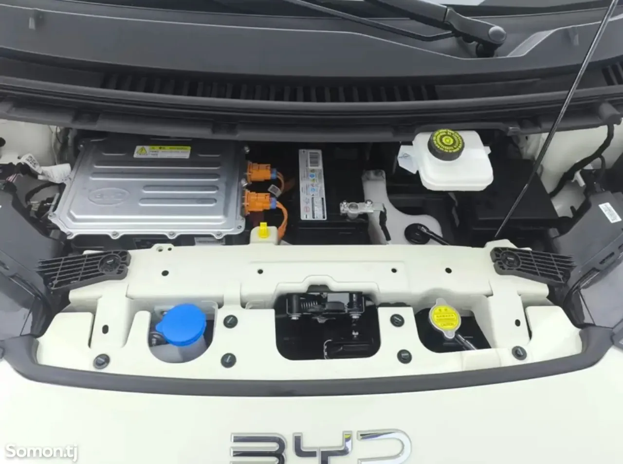 BYD Seagull 2024 · AT