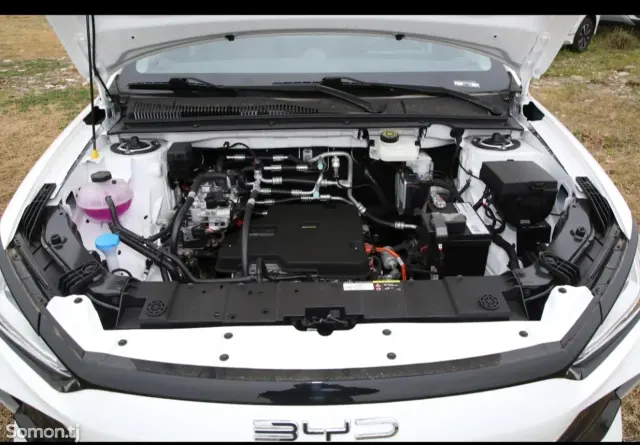 BYD E2 2025 · AMT