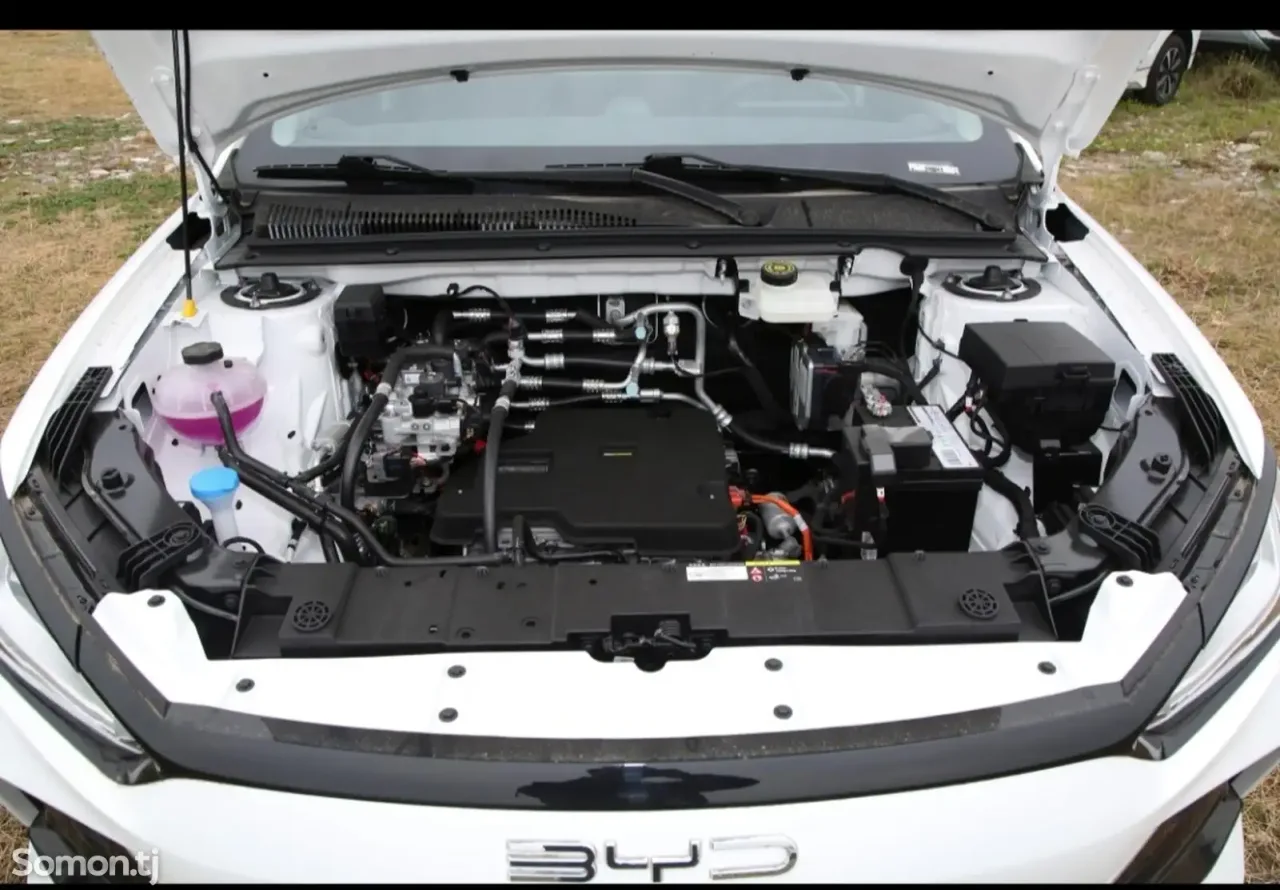 BYD E2 2025 · AMT